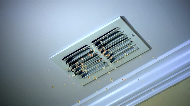 Best Air Duct Inspection  in Helena Valley Southeast, MT